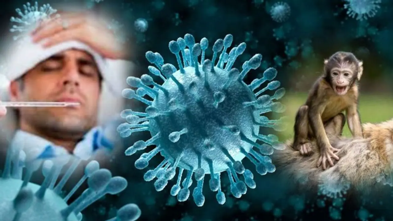 ಶಂಕಿತ ಕೆಎಫ್‌ಡಿಗೆ ಮತ್ತೊಂದು ಬಲಿ : ನಾಲ್ಕೂವರೆ ವರ್ಷದ ಮಗುವಿಗೂ ಸೋಂಕು