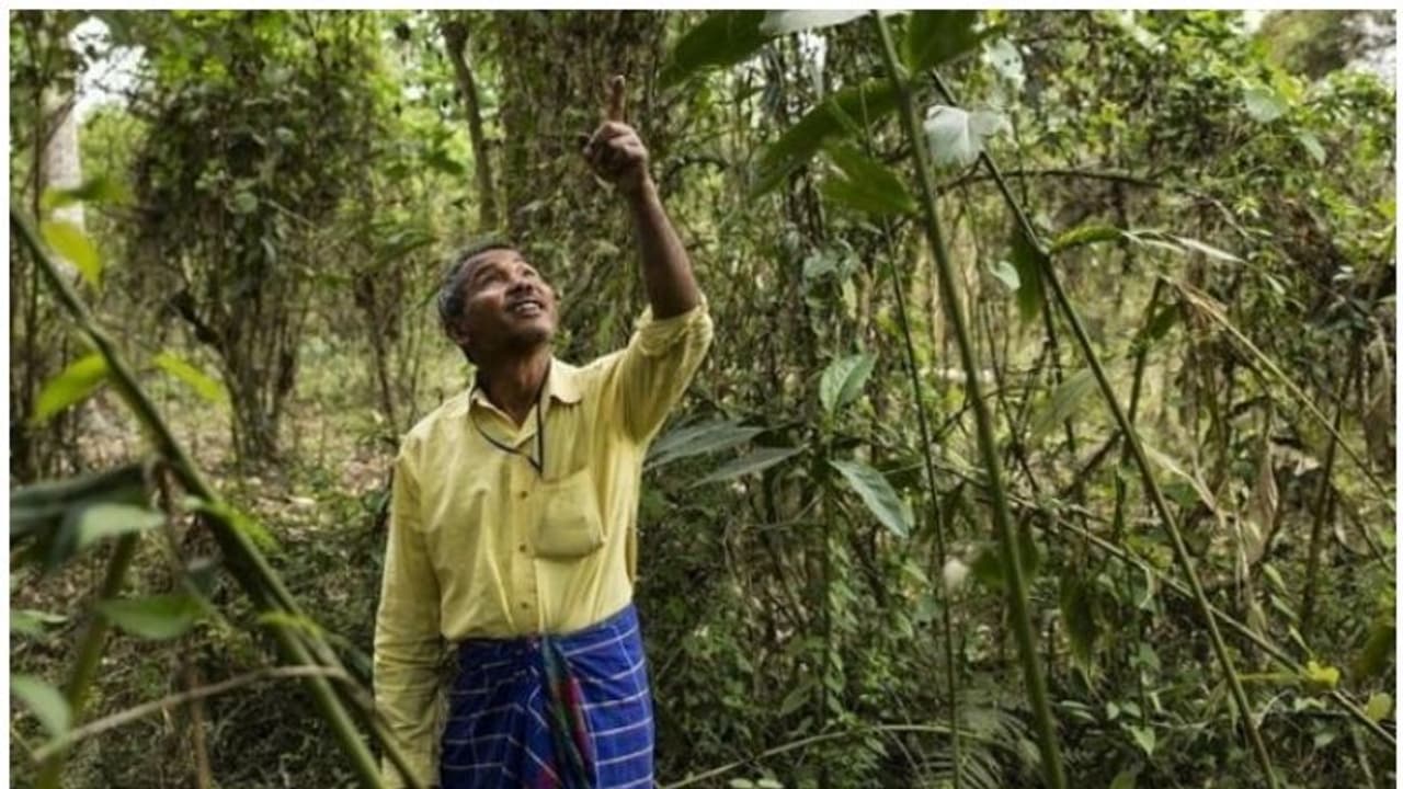 സ്വന്തം കൈകളാൽ ഒരു വനം തന്നെ സൃഷ്ടിച്ചു; 'ഫോറസ്റ്റ് മാൻ ഓഫ് ഇന്ത്യ' യെ കുറിച്ചറിയാം സ്വന്തം കൈകളാൽ ഒരു വനം തന്നെ സൃഷ്ടിച്ചു; 'ഫോറസ്റ്റ് മാൻ ഓഫ് ഇന്ത്യ' യെ കുറിച്ചറിയാം