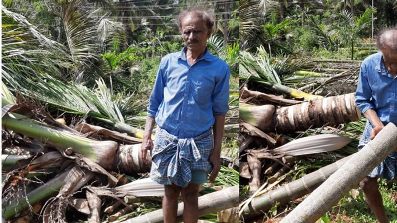 ತುಮಕೂರಿನಲ್ಲೇ ಮತ್ತೊಂದು ಕೇಸ್ : ಅಧಿಕಾರಿಗಳ ಎದುರೇ ನೂರಾರು ಮರಗಳ ಮಾರಣಹೋಮ