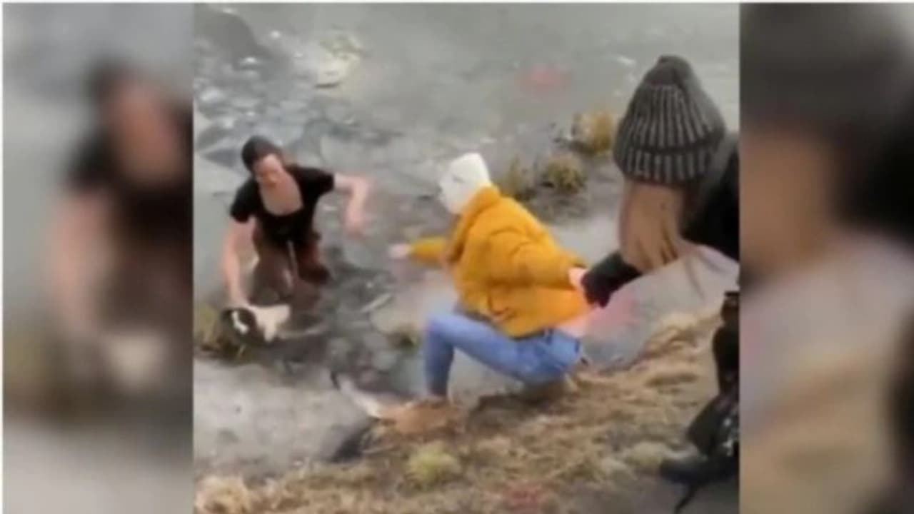 മഞ്ഞ് തടാകത്തിൽ അകപ്പെട്ട് നായ; സാഹസികമായി രക്ഷിച്ച് യുവതി: കയ്യടിച്ച് സോഷ്യൽ മീഡിയ വീഡിയോ മഞ്ഞ് തടാകത്തിൽ അകപ്പെട്ട് നായ; സാഹസികമായി രക്ഷിച്ച് യുവതി: കയ്യടിച്ച് സോഷ്യൽ മീഡിയ വീഡിയോ