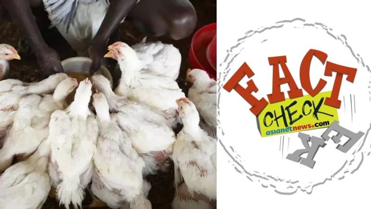 ചിക്കന് കഴിച്ചാല് കൊവിഡ് 19 പിടിപെടുമോ; വാട്സാപ്പ് സന്ദേശങ്ങളില് കണ്ണടച്ച് വിശ്വസിക്കുന്നവര് അറിയാന് ചിക്കന് കഴിച്ചാല് കൊവിഡ് 19 പിടിപെടുമോ; വാട്സാപ്പ് സന്ദേശങ്ങളില് കണ്ണടച്ച് വിശ്വസിക്കുന്നവര് അറിയാന്