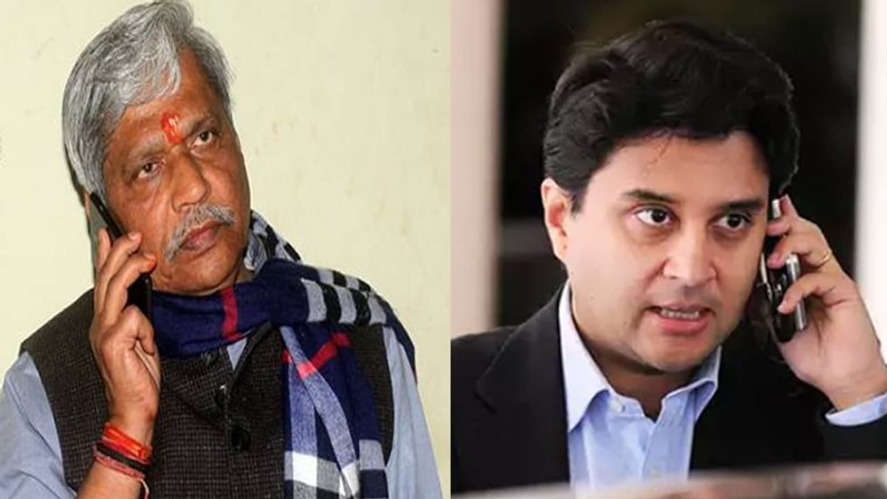 झा ने सिंधिया की एंट्री पर नाराजगी की खबरों को बताया गलत,बोले मेरी निष्ठा को कोई चुनौती नहीं दे सकता झा ने सिंधिया की एंट्री पर नाराजगी की खबरों को बताया गलत,बोले मेरी निष्ठा को कोई चुनौती नहीं दे सकता