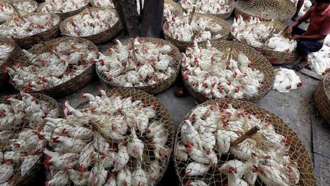 ಸರ್ಕಾರದ ಆದೇಶಕ್ಕೆ ಕ್ಯಾರೆ ಎನ್ನದ ಜನ: ಅಕ್ರಮ ಮಾಂಸ ಮಾರಾಟದ ಅಡ್ಡೆಗಳ ಮೇಲೆ ದಾಳಿ ಸರ್ಕಾರದ ಆದೇಶಕ್ಕೆ ಕ್ಯಾರೆ ಎನ್ನದ ಜನ: ಅಕ್ರಮ ಮಾಂಸ ಮಾರಾಟದ ಅಡ್ಡೆಗಳ ಮೇಲೆ ದಾಳಿ