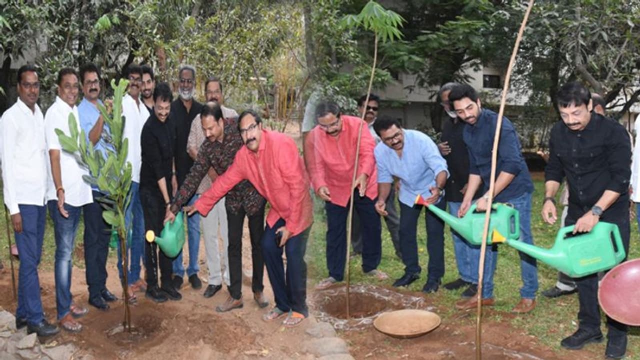 గ్రీన్ ఇండియా ఛాలెంజ్.. మొక్కలు నాటిన నిర్మాత కేఎస్ రామారావు గ్రీన్ ఇండియా ఛాలెంజ్.. మొక్కలు నాటిన నిర్మాత కేఎస్ రామారావు