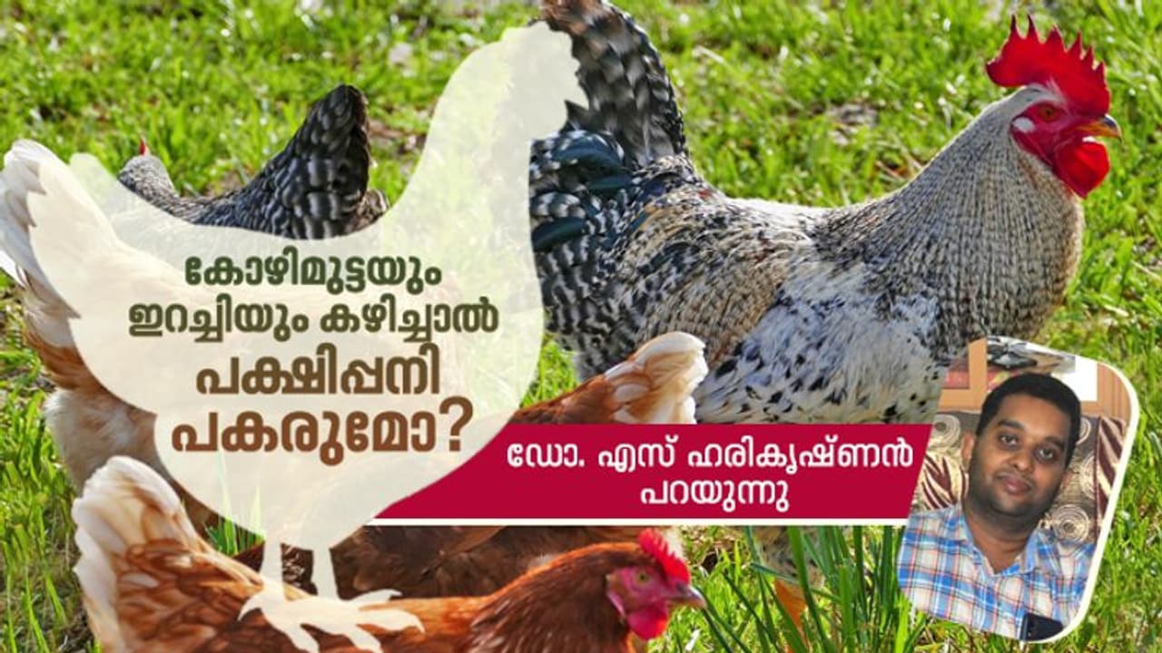 പക്ഷിപ്പനി: മനുഷ്യരിലേക്ക് രോഗം പകരുമോ? എങ്ങനെ? പക്ഷിപ്പനി: മനുഷ്യരിലേക്ക് രോഗം പകരുമോ? എങ്ങനെ?