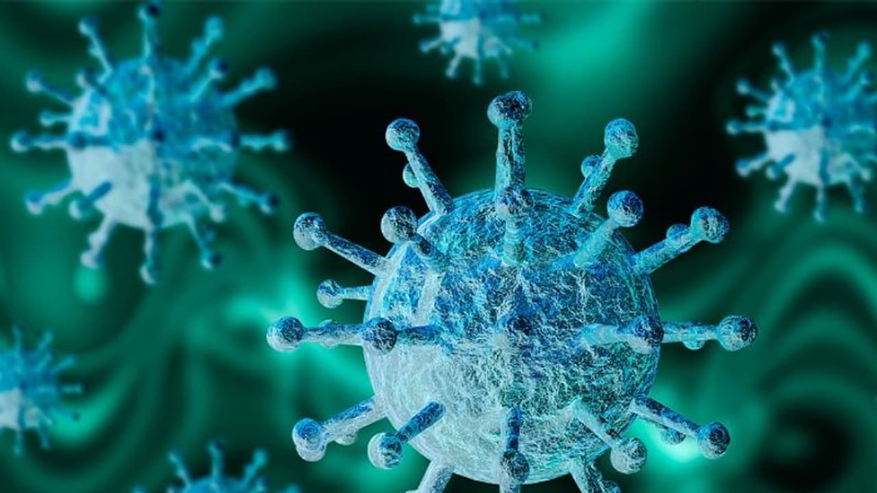 അമിത ഭീതി വേണ്ട, കളക്ടർ നിർദ്ദേശിച്ചത് ആൾക്കൂട്ടങ്ങളും യാത്രയും പരമാവധി ഒഴിവാക്കാന്: ജില്ലാ ഇൻഫർമേഷൻ ഓഫീസർ അമിത ഭീതി വേണ്ട, കളക്ടർ നിർദ്ദേശിച്ചത് ആൾക്കൂട്ടങ്ങളും യാത്രയും പരമാവധി ഒഴിവാക്കാന്: ജില്ലാ ഇൻഫർമേഷൻ ഓഫീസർ