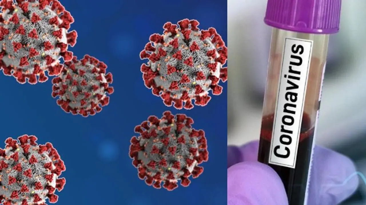 ಬಿಸಿಲಿದ್ರೆ ಕೊರೋನಾ ವೈರಸ್ ಬರೋಲ್ವಾ? ಬಿಸಿಲಿದ್ರೆ ಕೊರೋನಾ ವೈರಸ್ ಬರೋಲ್ವಾ?