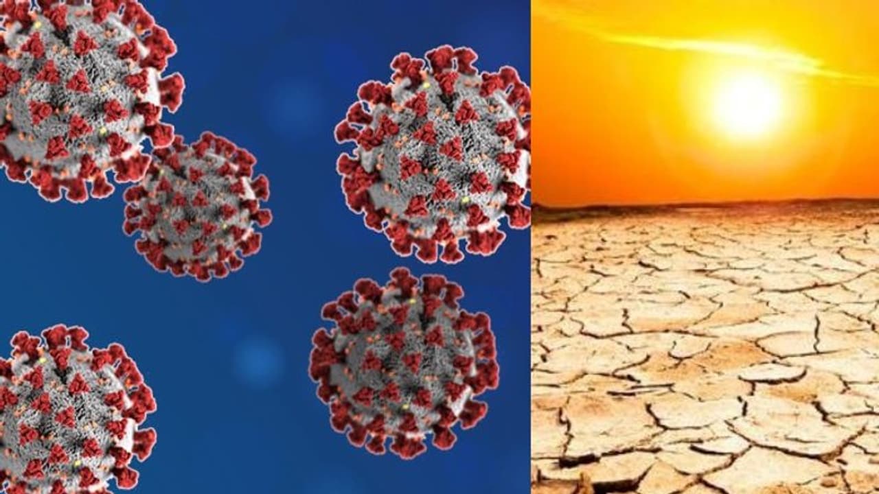 അതികഠിനമായ ചൂടിലും കൊറോണ വൈറസ് പടർന്നു പിടിക്കുമോ ? അതികഠിനമായ ചൂടിലും കൊറോണ വൈറസ് പടർന്നു പിടിക്കുമോ ?