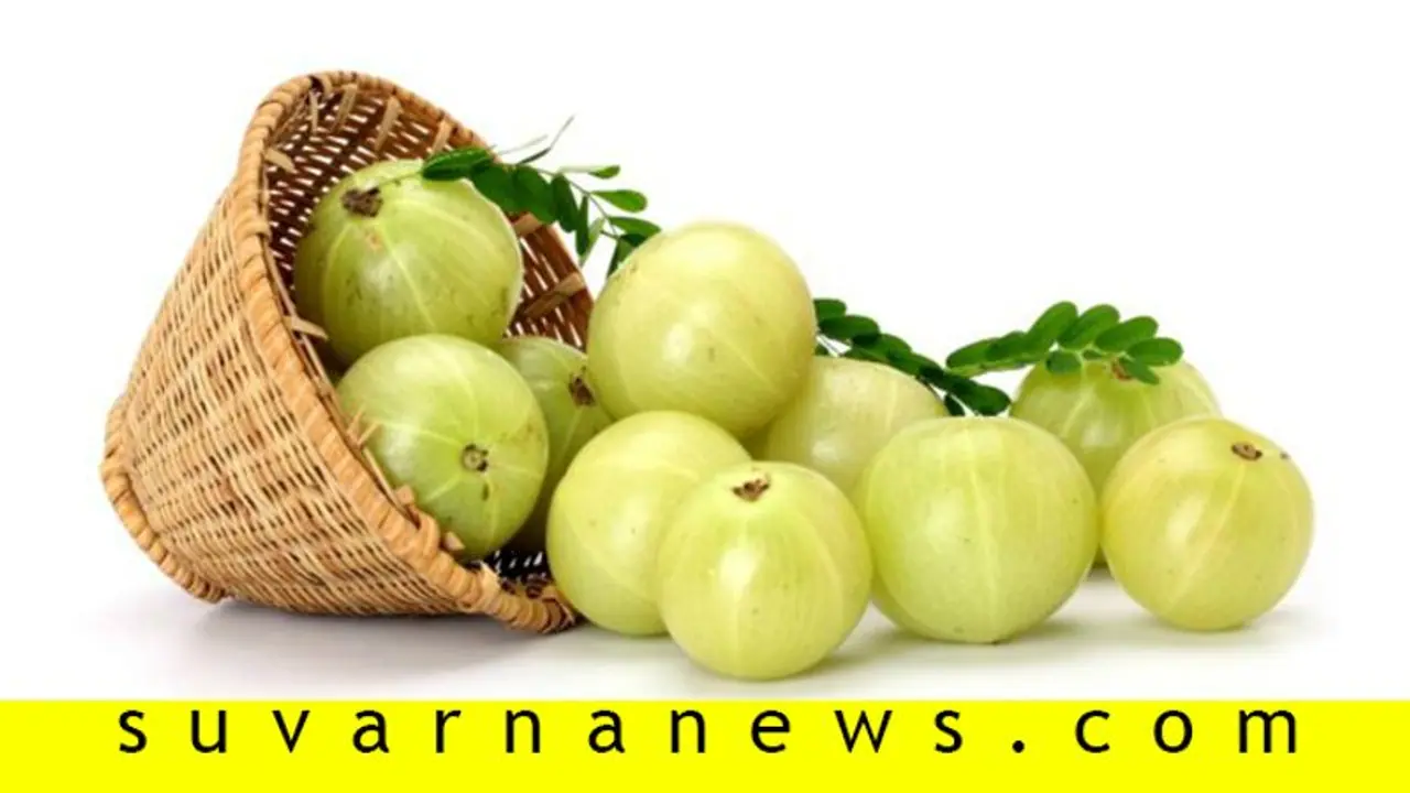 ನಂಬಿದೋರನ್ನ ನಡುನೀರಲ್ಲಿ ಬಿಡದು ನೆಲ್ಲಿಕಾಯಿ!