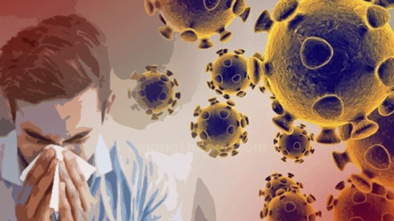 കൊവിഡ് 19 ന് മുമ്പ് നാശംവിതച്ച മഹാമാരികള് ഇവയായിരുന്നു കൊവിഡ് 19 ന് മുമ്പ് നാശംവിതച്ച മഹാമാരികള് ഇവയായിരുന്നു