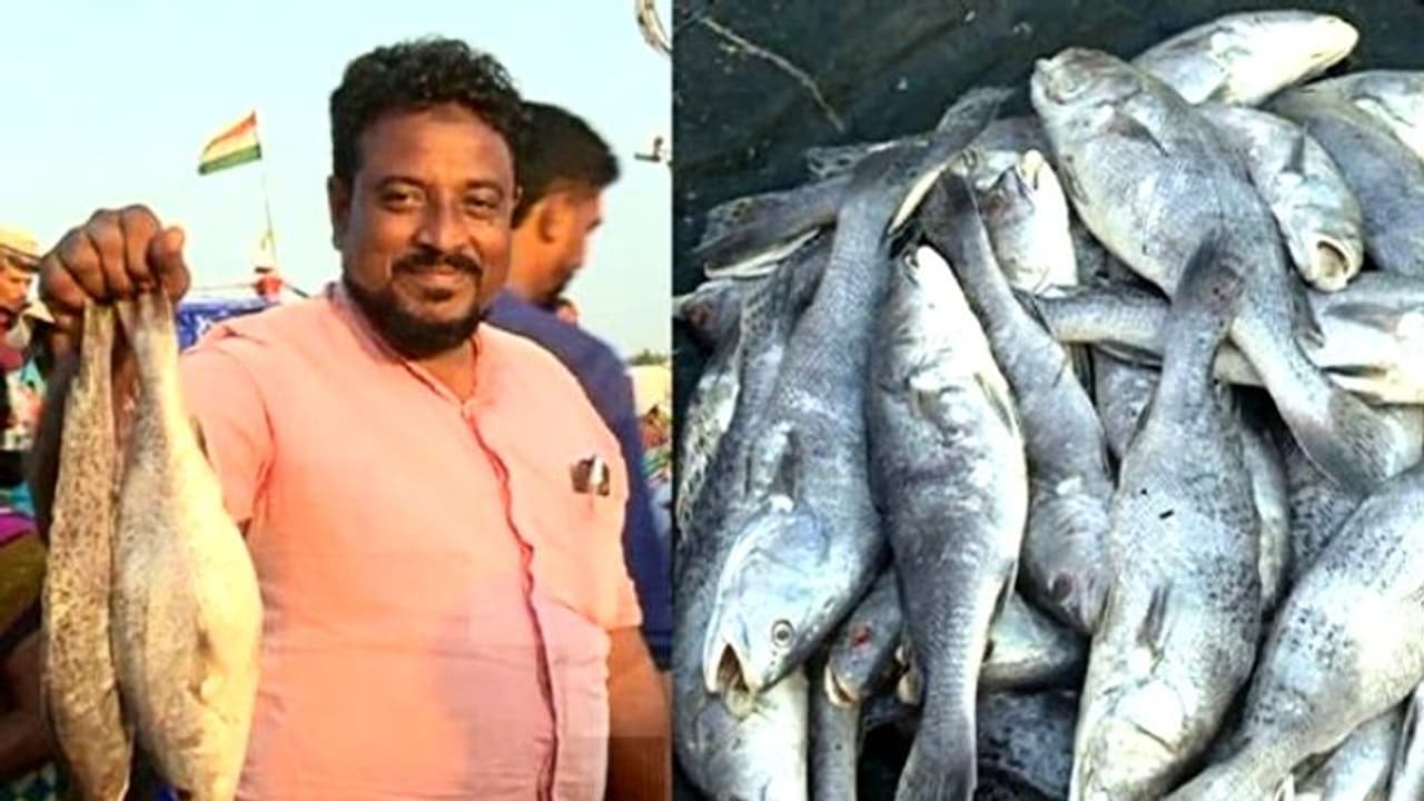 ভাইরাসের ভয়ের মধ্যেই বিকোচ্ছে কেজি প্রতি ২০০০ টাকায়, খাবেন নাকি 'করোনা' মাছ ভাইরাসের ভয়ের মধ্যেই বিকোচ্ছে কেজি প্রতি ২০০০ টাকায়, খাবেন নাকি 'করোনা' মাছ