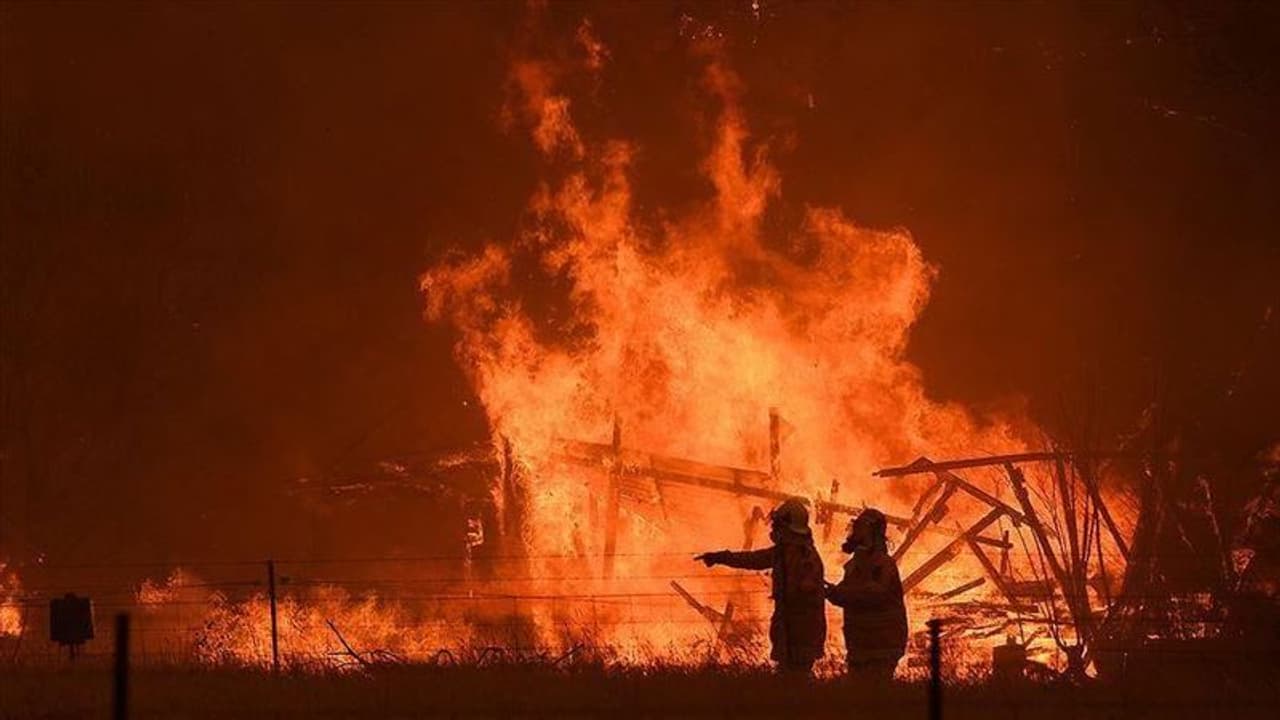 শিকার বা কাঠ সংগ্রহের দুরভিসন্ধিতেই কি আবার আগুন শালবনীতে শিকার বা কাঠ সংগ্রহের দুরভিসন্ধিতেই কি আবার আগুন শালবনীতে