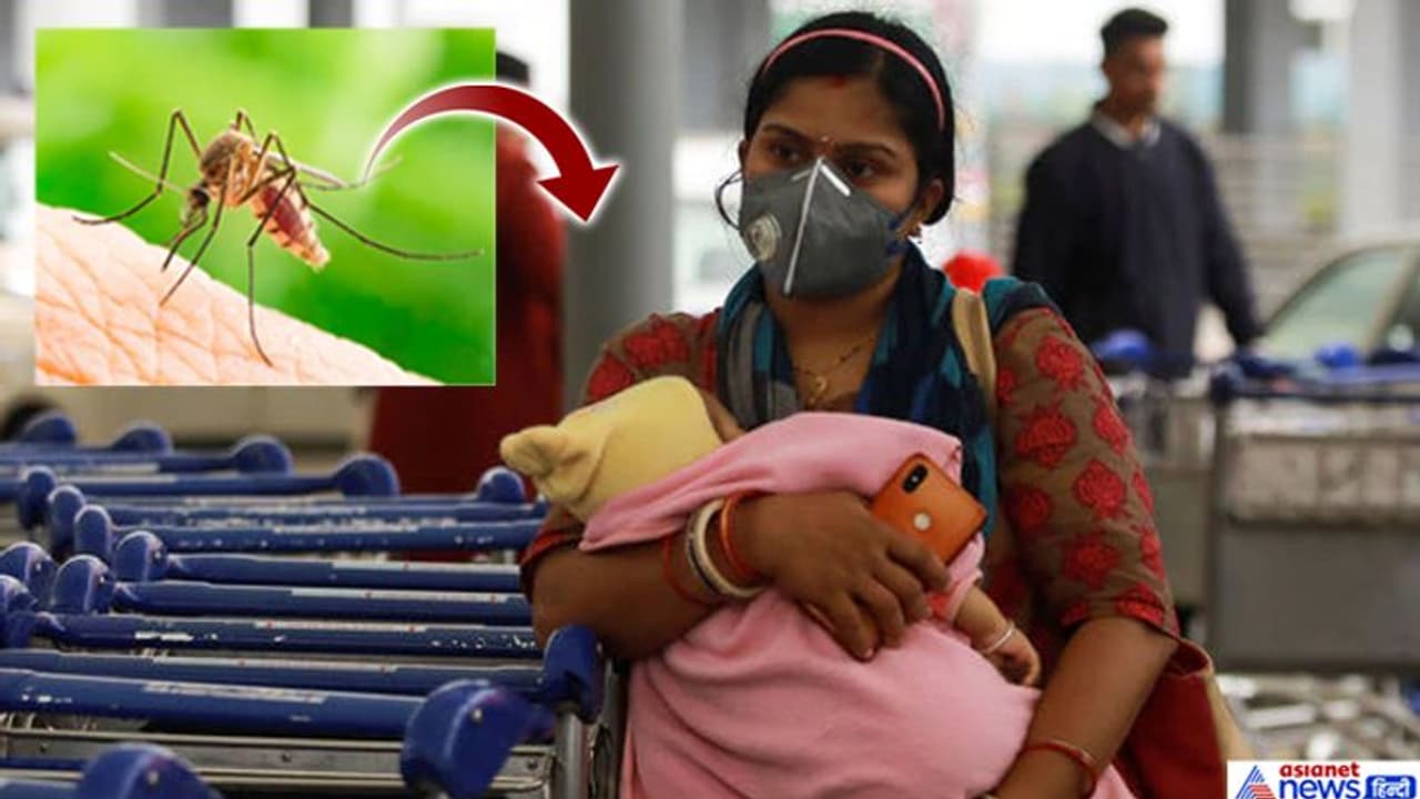 Can mosquitoes spread coronavirus? Health ministry issues clarification