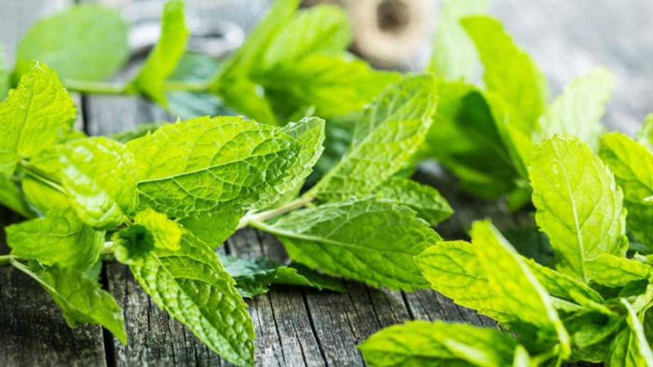 പ്രതിരോധശേഷി വര്ധിപ്പിക്കാന് ഇതാ ഒരു കലക്കന് ജ്യൂസ്! പ്രതിരോധശേഷി വര്ധിപ്പിക്കാന് ഇതാ ഒരു കലക്കന് ജ്യൂസ്!