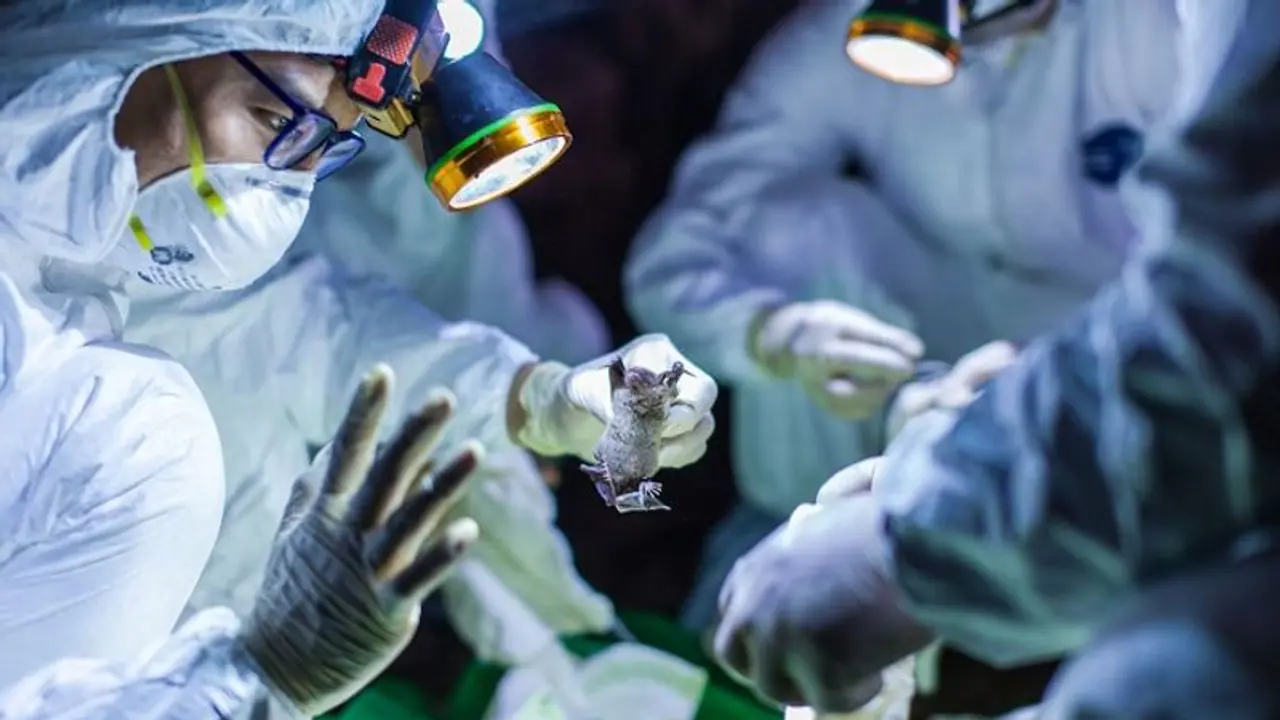 'ಮಂಗಳೂರಲ್ಲಿ ಶೀಘ್ರ ವೈರಾಣು ಪತ್ತೆ ಪರೀಕ್ಷಾ ಕೇಂದ್ರ'