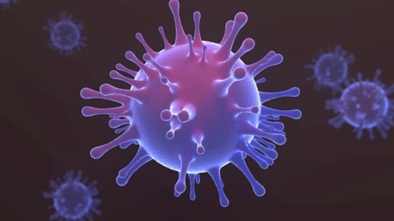 ಬದಲಿಸಲಾಗದ ಮನುಷ್ಯನ ಗುಣವನ್ನೇ ಬದಲಾಯಿಸಿದ ಕೊರೋನಾ! ಬದಲಿಸಲಾಗದ ಮನುಷ್ಯನ ಗುಣವನ್ನೇ ಬದಲಾಯಿಸಿದ ಕೊರೋನಾ!