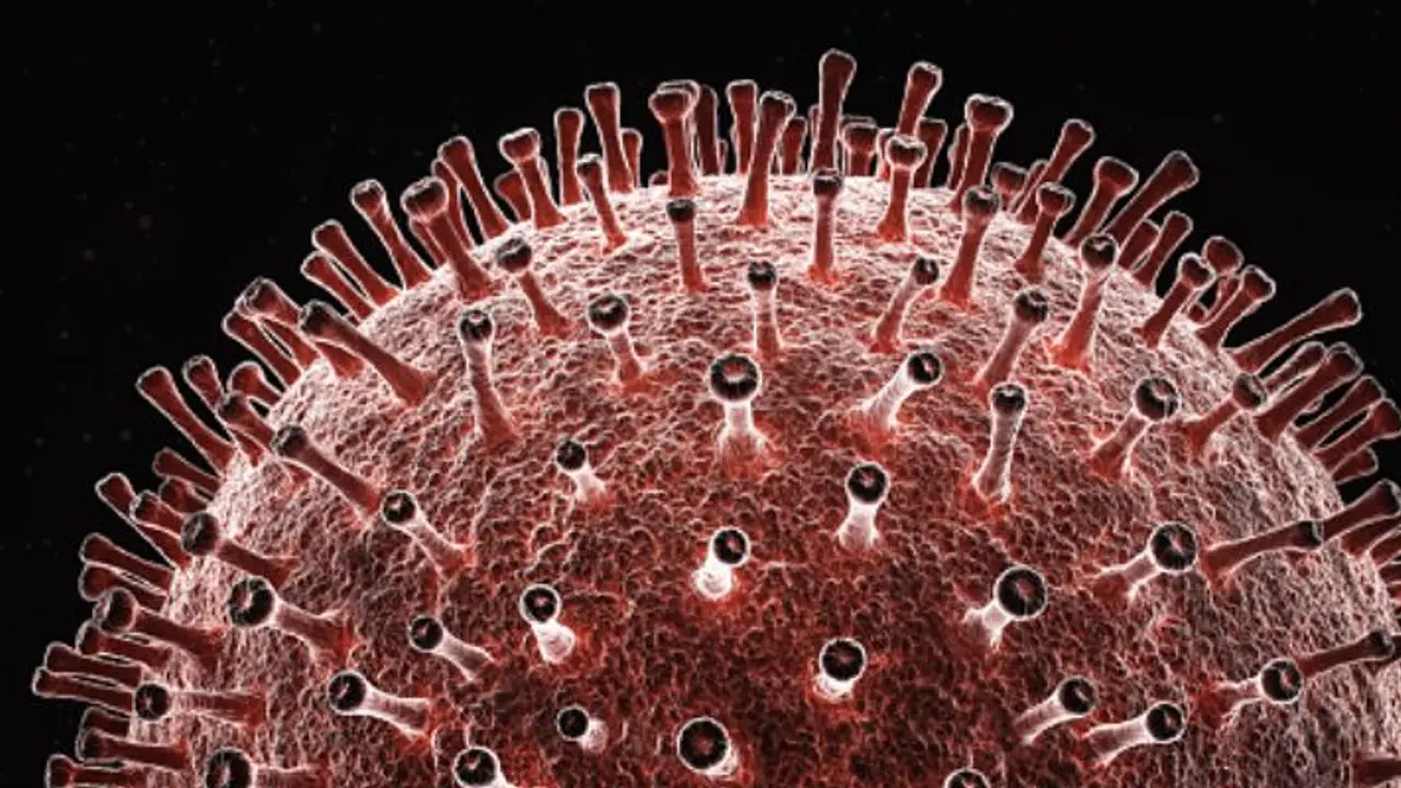 Coronavirus: Confirmed cases in India rise to 169, PM Modi to address nation