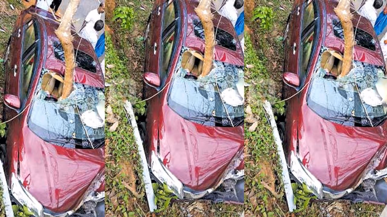 കുത്തനെ വീണ മരക്കൊമ്പ് സീറ്റില് കുത്തിക്കയറി, ഓടിക്കൊണ്ടിരുന്ന കാറിന് സംഭവിച്ചത്! കുത്തനെ വീണ മരക്കൊമ്പ് സീറ്റില് കുത്തിക്കയറി, ഓടിക്കൊണ്ടിരുന്ന കാറിന് സംഭവിച്ചത്!