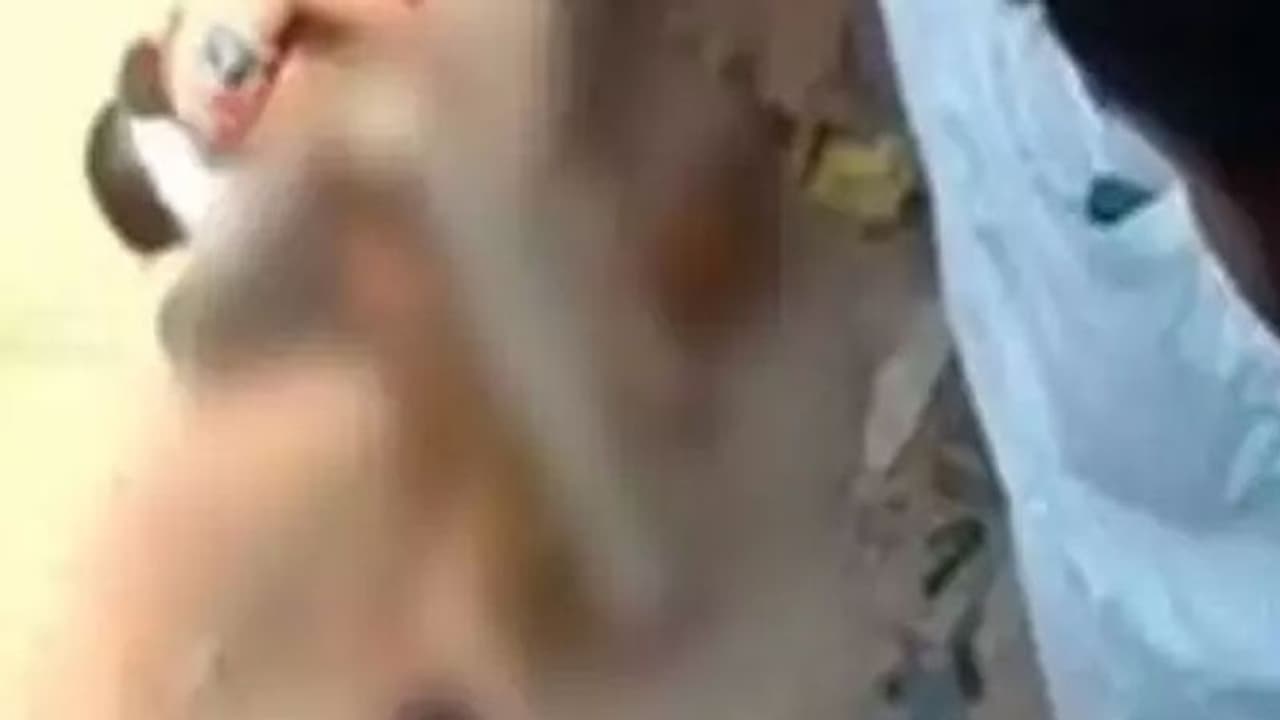 ஆடையில்லாமல் கொடூரமாக இளம்பெண் கூட்டு பலாத்காரம்... வெறி தீராததால் தலையில் கல்லை போட்டு படுகொலை..!