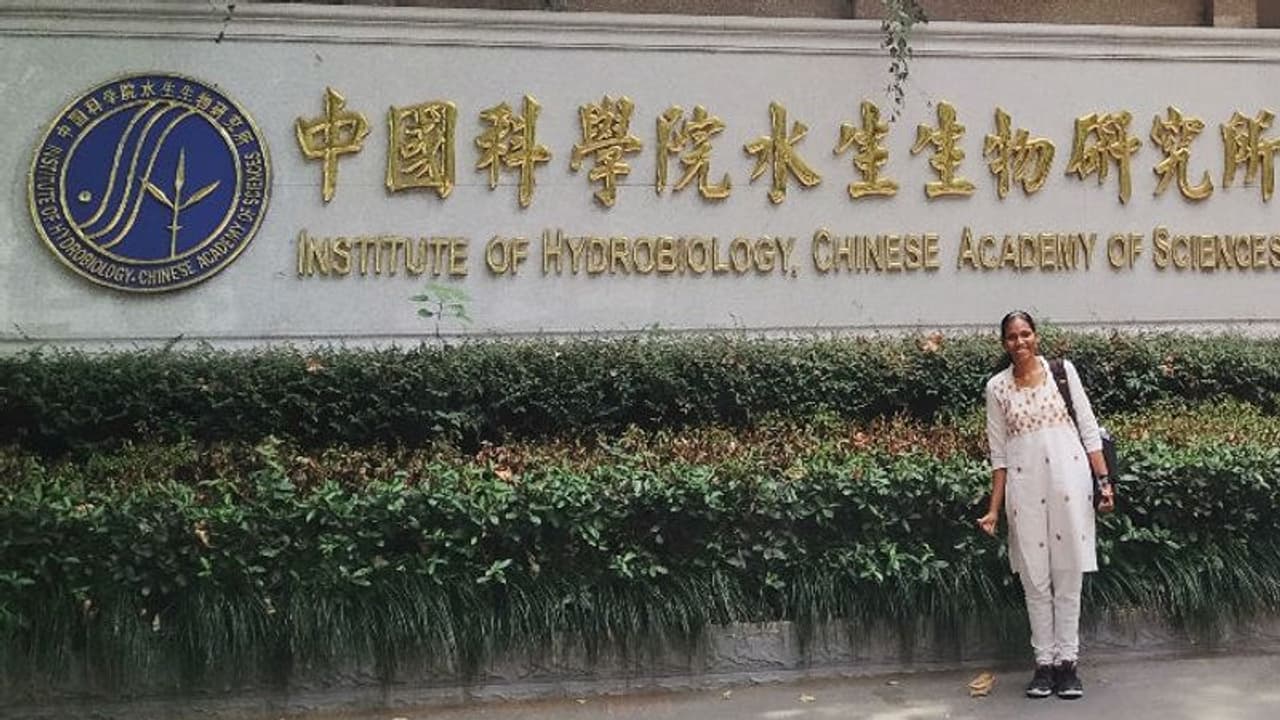 '56 ദിവസത്തെ ഏകാന്തവാസം'; ഭീതിയുടെ നഗരത്തില് നിന്ന് ഒരു മലയാളി പറയുന്നു... '56 ദിവസത്തെ ഏകാന്തവാസം'; ഭീതിയുടെ നഗരത്തില് നിന്ന് ഒരു മലയാളി പറയുന്നു...