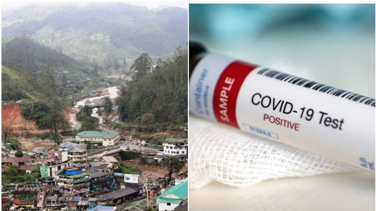 കൊവിഡ് 19: മൂന്നാറില് ജോലി നഷ്ടമായത് 10,000ലധികം തൊഴിലാളികള്ക്ക് കൊവിഡ് 19: മൂന്നാറില് ജോലി നഷ്ടമായത് 10,000ലധികം തൊഴിലാളികള്ക്ക്