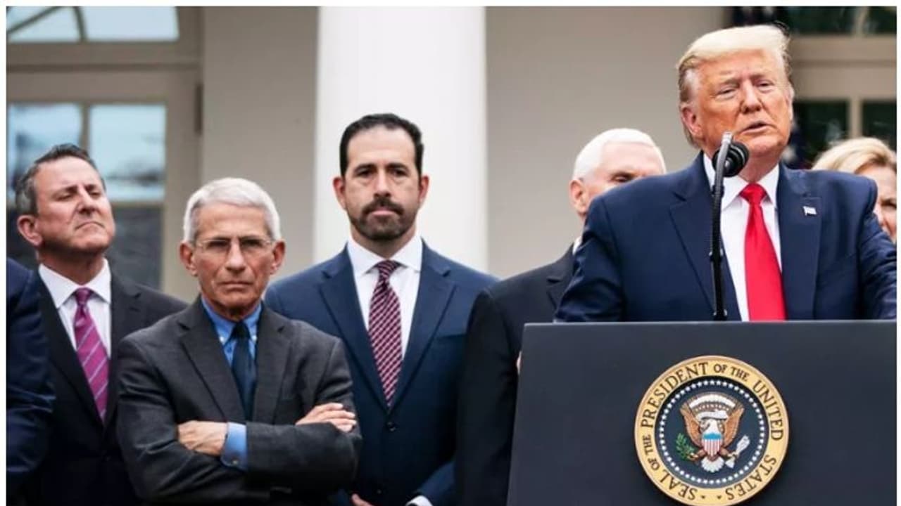 പ്രസിഡന്റ് ട്രംപിന്റെ നടപടികൾ അമേരിക്കയിൽ കൊവിഡ് 19 പടർന്നുപിടിക്കാൻ ഇടയാക്കിയതെങ്ങനെ ?