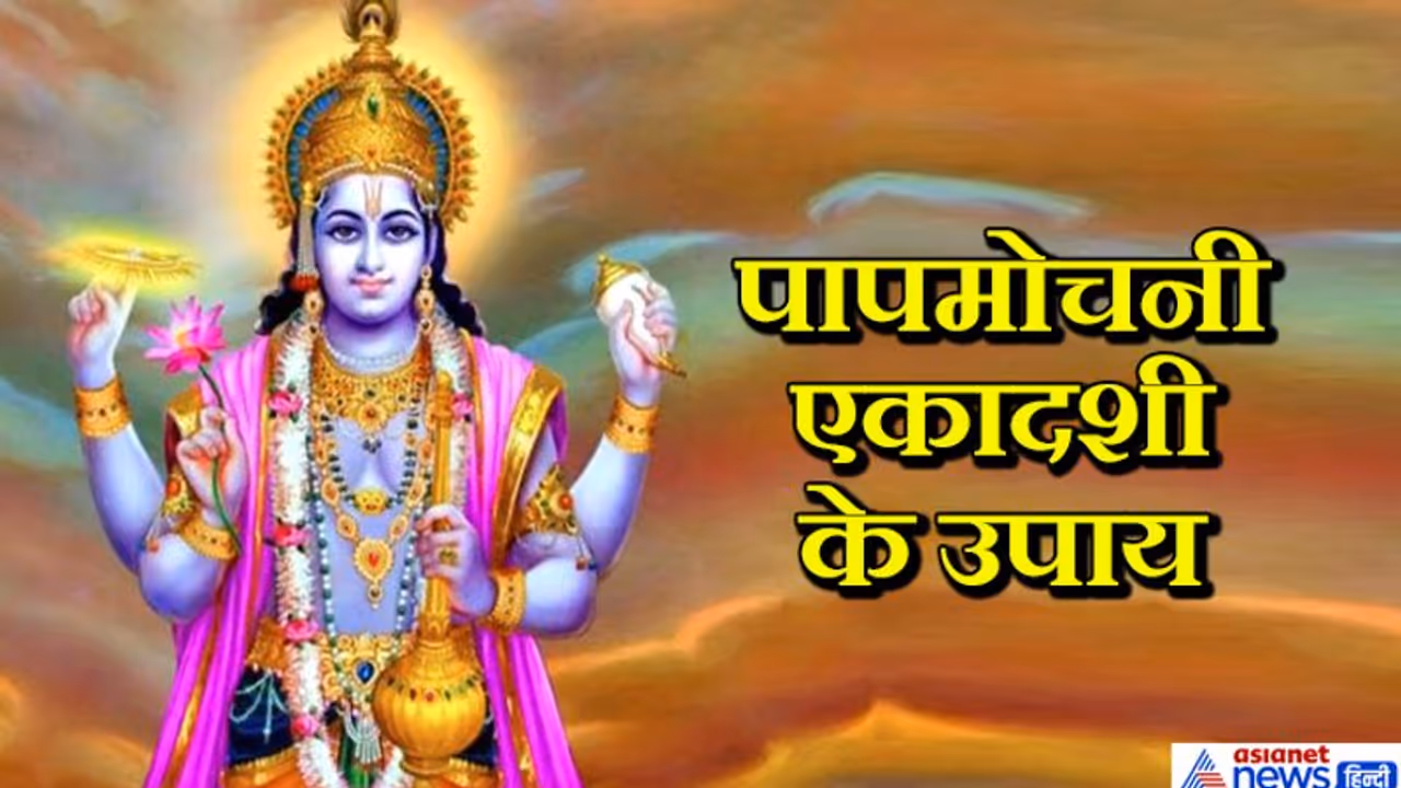 20 मार्च को शुक्रवार और एकादशी का योग, ये उपाय करने से चमक सकती है आपकी किस्मत