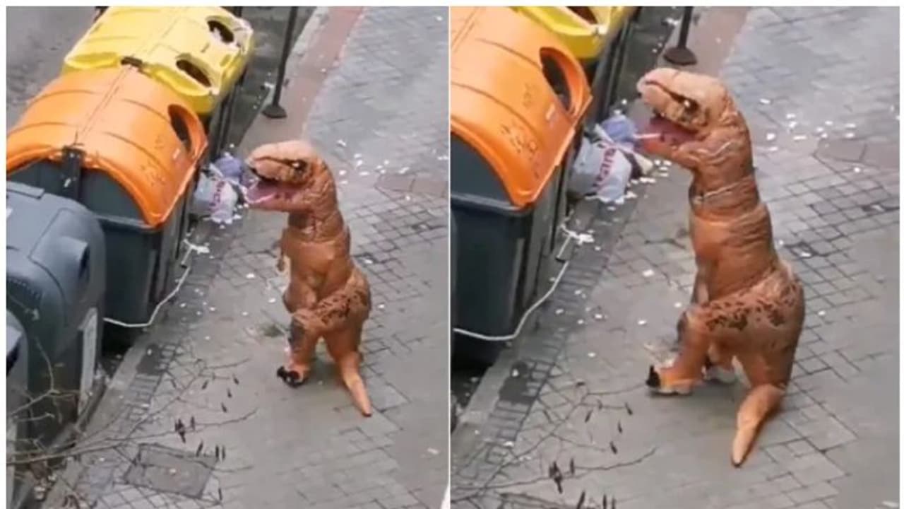 സ്പെയിനിൽ ദിനോസർ ഇറങ്ങി, വീഡിയോക്ക് പിന്നിലെ സത്യം ഇതാണ്... സ്പെയിനിൽ ദിനോസർ ഇറങ്ങി, വീഡിയോക്ക് പിന്നിലെ സത്യം ഇതാണ്...