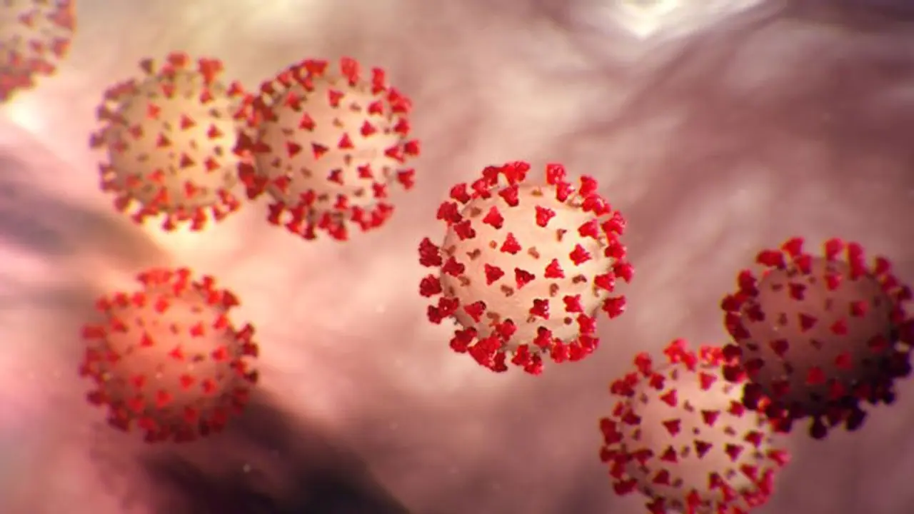 அடுத்த ஒரு இளைஞருக்கு கொரோனா அறிகுறி..! சிவகங்கை மருத்துவமனையில் அனுமதி...! அடுத்த ஒரு இளைஞருக்கு கொரோனா அறிகுறி..! சிவகங்கை மருத்துவமனையில் அனுமதி...!