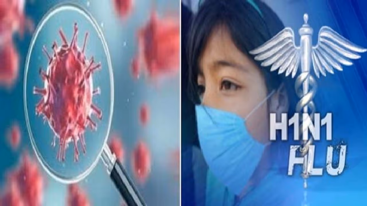 ಹಂದಿ ಜ್ವರಕ್ಕಿಂತ ಕೊರೋನಾ 10 ಪಟ್ಟು ಮಾರಣಾಂತಿಕ!