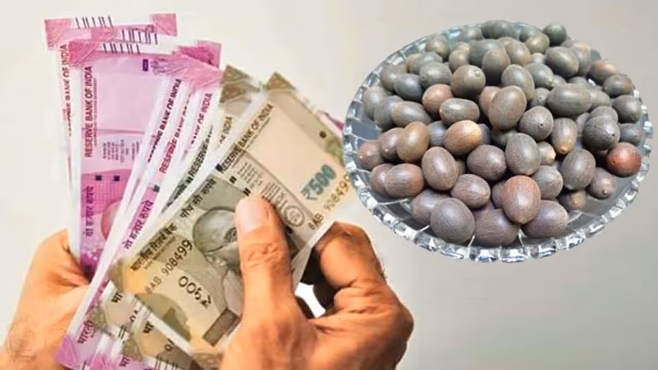 20 मार्च को शुभ योग में करें कमलगट्‌टे के ये आसान उपाय, बन सकते हैं धन लाभ के योग