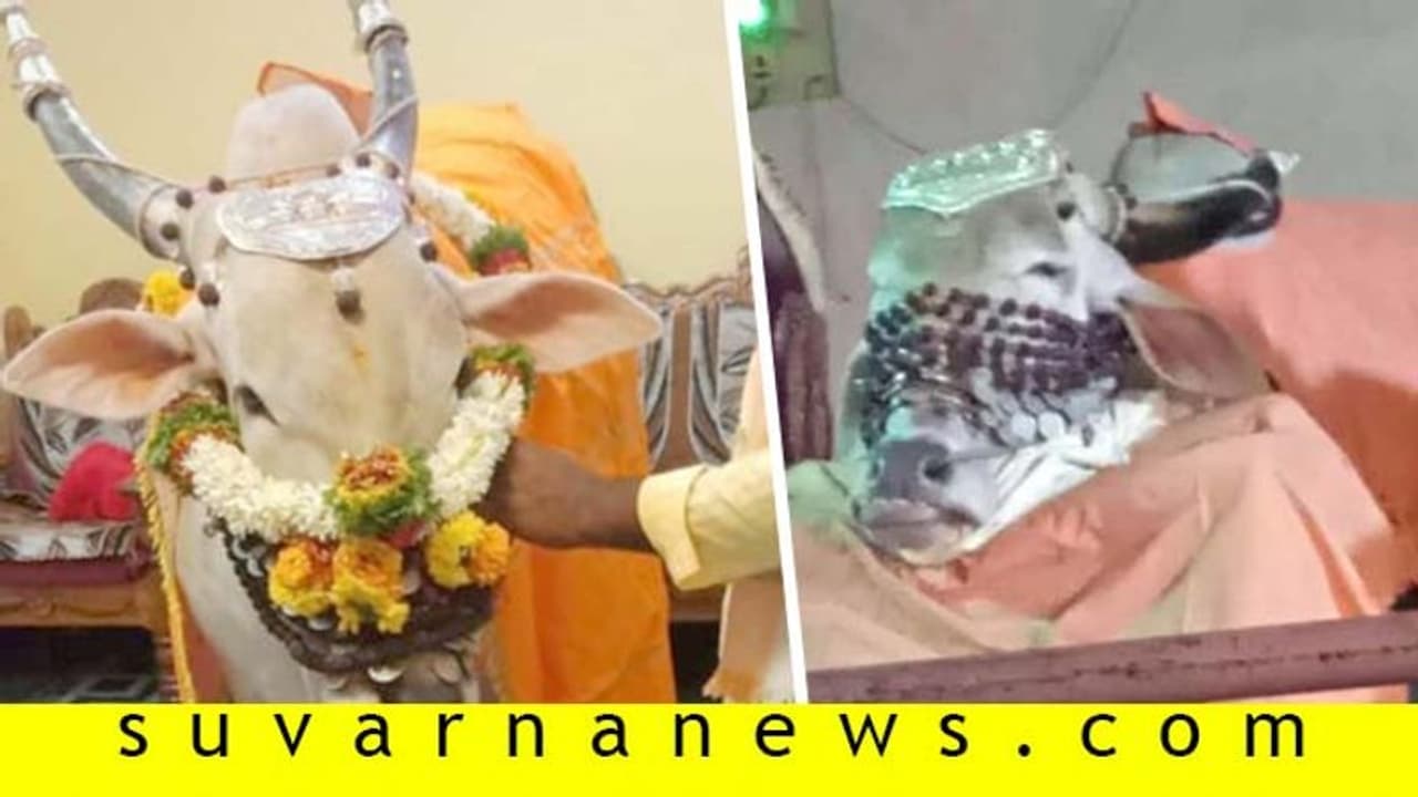 ಚಿಕ್ಕವಯಸ್ಸಿನಲ್ಲೇ ಮೂಕಪ್ಪ ಶಿವಾಚಾರ್ಯಶ್ರೀ ಲಿಂಗೈಕ್ಯ: ಕಂಬನಿ ಮಿಡಿದ ಭಕ್ತರು ಚಿಕ್ಕವಯಸ್ಸಿನಲ್ಲೇ ಮೂಕಪ್ಪ ಶಿವಾಚಾರ್ಯಶ್ರೀ ಲಿಂಗೈಕ್ಯ: ಕಂಬನಿ ಮಿಡಿದ ಭಕ್ತರು