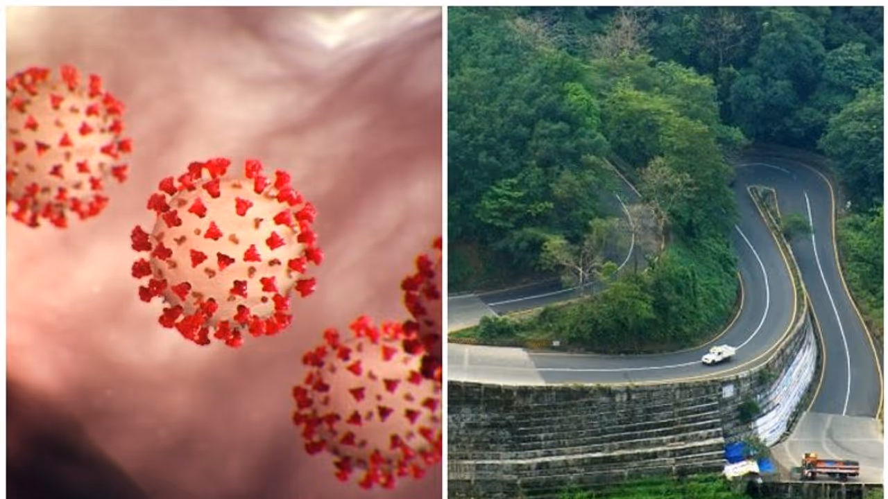 വയനാട്ടിൽ റിവേഴ്സ് ക്വാറന്റൈൻ സംവിധാനവുമായി ആരോഗ്യ വകുപ്പ് വയനാട്ടിൽ റിവേഴ്സ് ക്വാറന്റൈൻ സംവിധാനവുമായി ആരോഗ്യ വകുപ്പ്