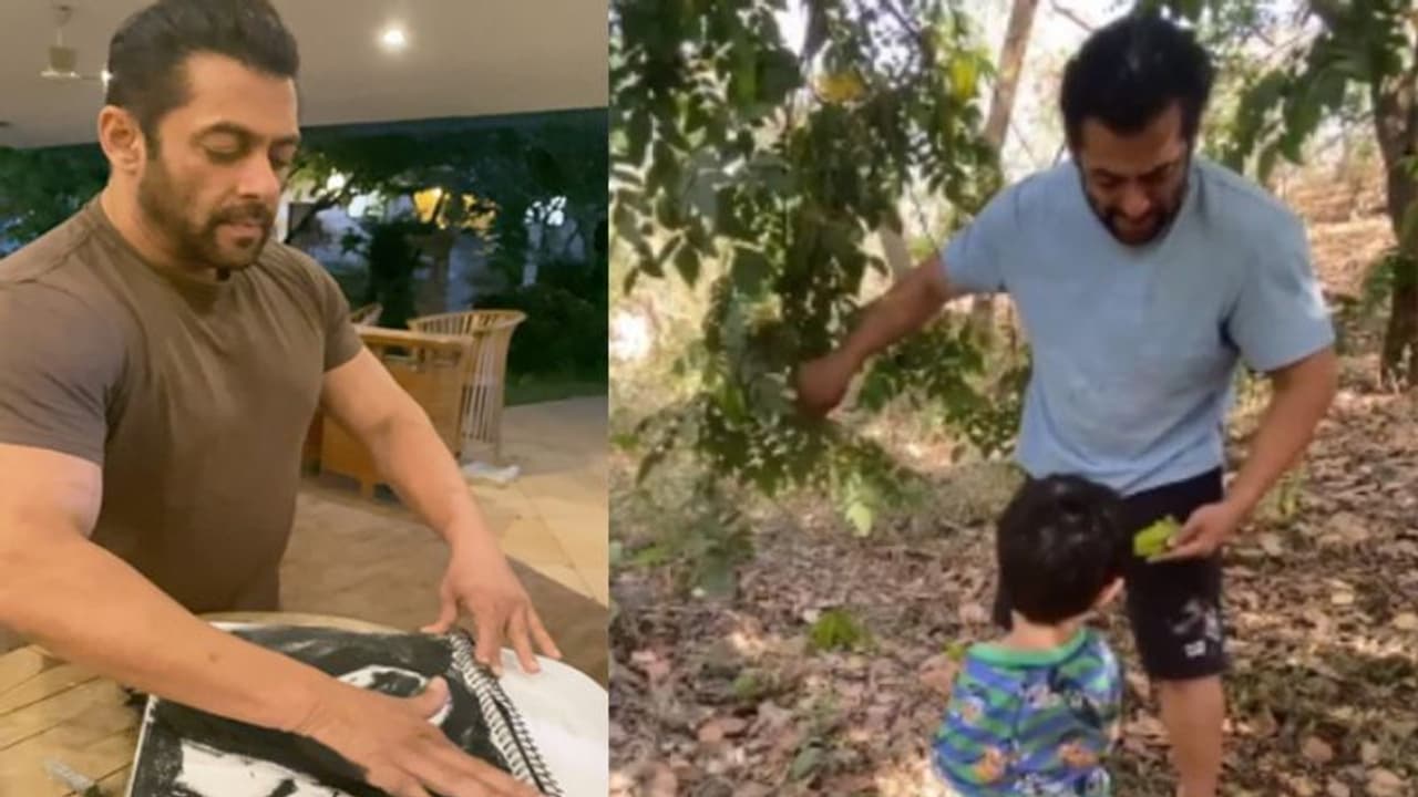 করোনা আতঙ্কে ত্রস্ত গোটা দেশ, পুরো পরিবারের সঙ্গে ফার্ম হাউসে সলমন করোনা আতঙ্কে ত্রস্ত গোটা দেশ, পুরো পরিবারের সঙ্গে ফার্ম হাউসে সলমন