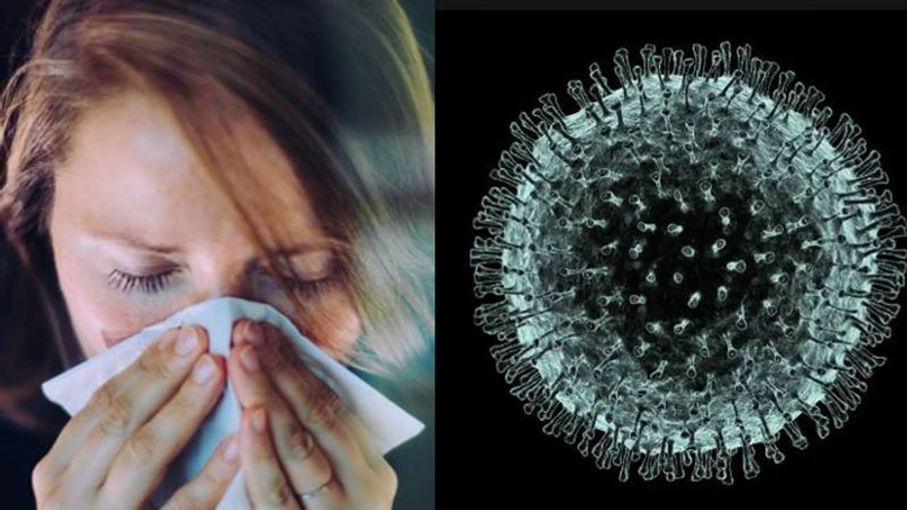 കൊവിഡ് 19; പ്രധാനപ്പെട്ട ആറ് ലക്ഷണങ്ങൾ എന്തൊക്കെയാണെന്ന് ഭേദമായവർ പറയുന്നു കൊവിഡ് 19; പ്രധാനപ്പെട്ട ആറ് ലക്ഷണങ്ങൾ എന്തൊക്കെയാണെന്ന് ഭേദമായവർ പറയുന്നു