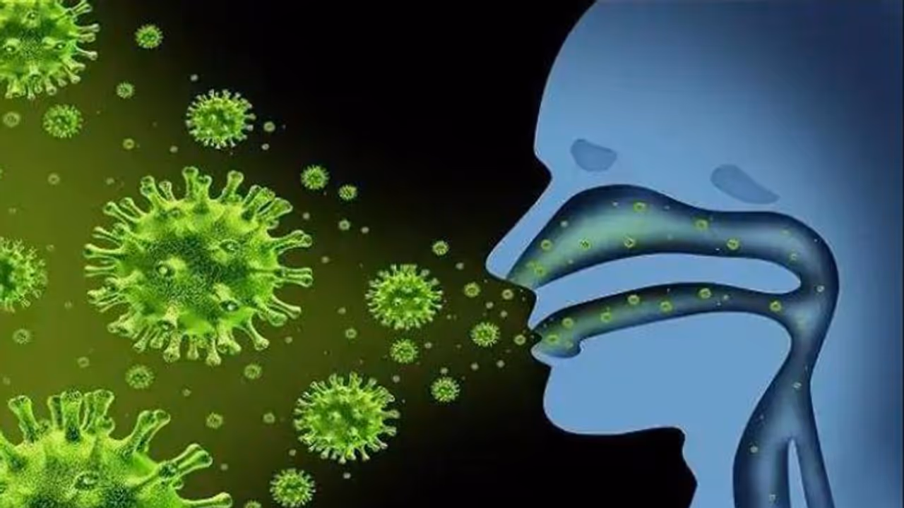 കൊറോണ വൈറസുകളെ കുറിച്ച് പ്രധാനപ്പെട്ട ഏഴ് കാര്യങ്ങള് കൊറോണ വൈറസുകളെ കുറിച്ച് പ്രധാനപ്പെട്ട ഏഴ് കാര്യങ്ങള്