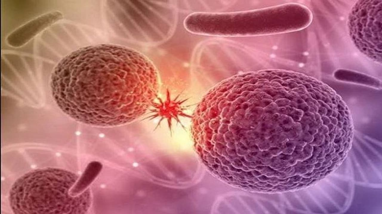 കൊവിഡ് 19: കേരളത്തിലെ ഏഴ് ജില്ലകളിൽ ലോക് ഡൗണിന് കേന്ദ്ര നിർദേശം കൊവിഡ് 19: കേരളത്തിലെ ഏഴ് ജില്ലകളിൽ ലോക് ഡൗണിന് കേന്ദ്ര നിർദേശം