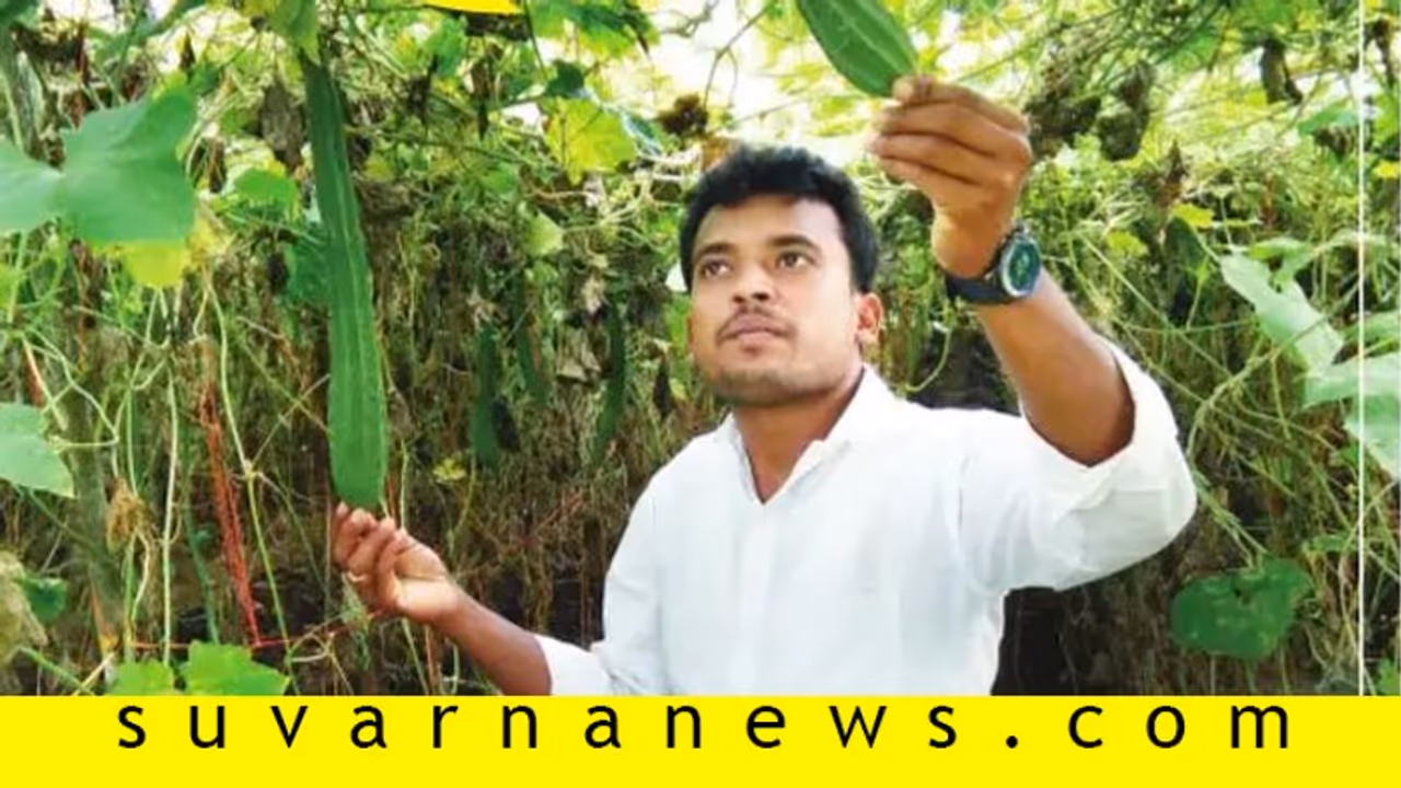 ಶೂನ್ಯ ಕೃಷಿಯಿಂದ ಲಕ್ಷಾಂತರ ಲಾಭ ಪಡೆಯುತ್ತಿರುವ ಐಟಿಐ ಪದವೀಧರ! ಶೂನ್ಯ ಕೃಷಿಯಿಂದ ಲಕ್ಷಾಂತರ ಲಾಭ ಪಡೆಯುತ್ತಿರುವ ಐಟಿಐ ಪದವೀಧರ!