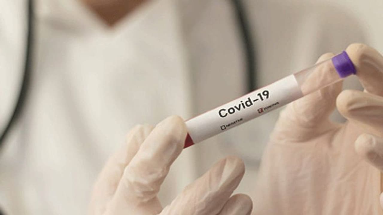 കൊവിഡ് 19 സ്ഥിരീകരിക്കാൻ രണ്ടര മണിക്കൂർ; ഇന്ത്യയിൽ ആദ്യ ടെസ്റ്റ് കിറ്റിന് അനുമതി കൊവിഡ് 19 സ്ഥിരീകരിക്കാൻ രണ്ടര മണിക്കൂർ; ഇന്ത്യയിൽ ആദ്യ ടെസ്റ്റ് കിറ്റിന് അനുമതി 