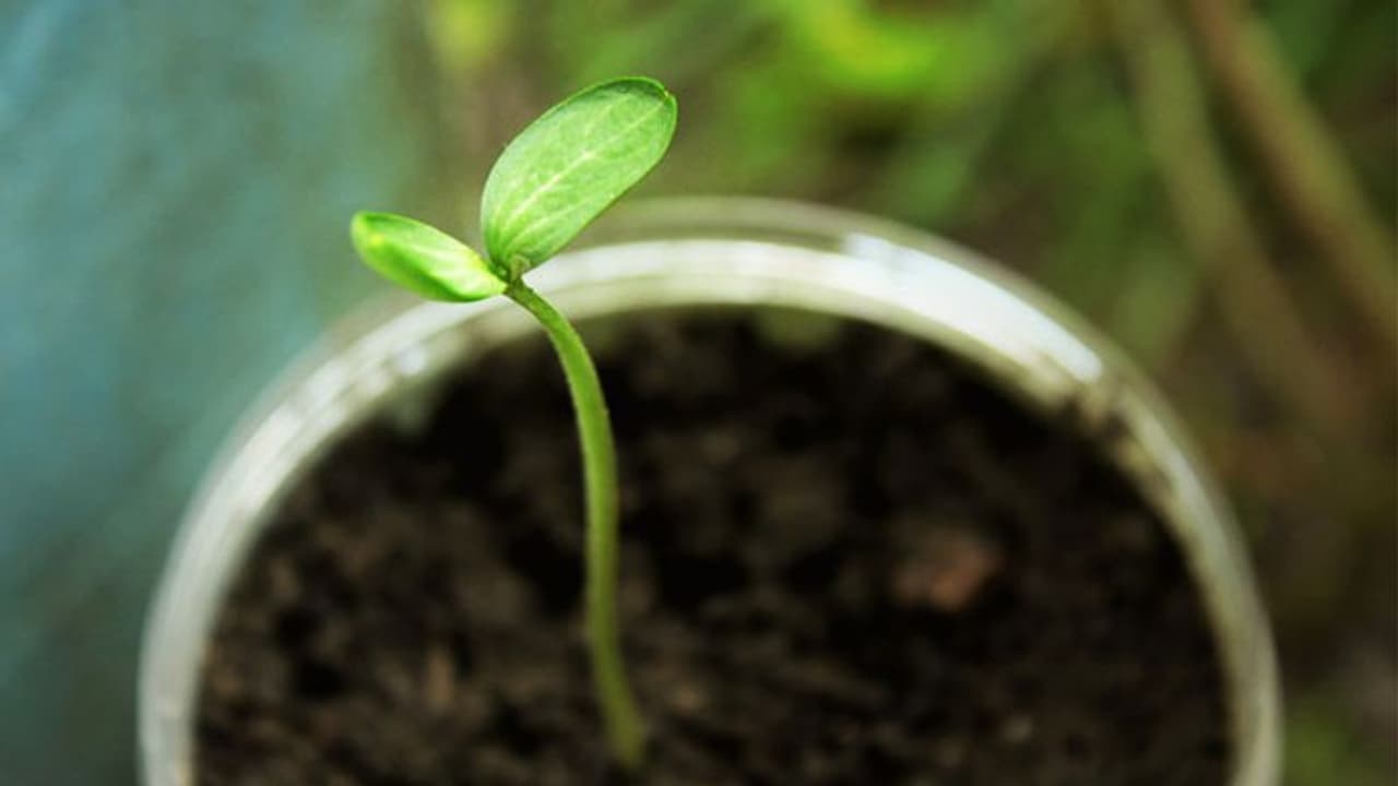 ഈ നേരവും കടന്നുപോവും, ഈ മഹാമാരിയെയും നമ്മളതിജീവിക്കും, സ്വയം പുതുക്കി മെച്ചപ്പെട്ട മനുഷ്യരാകാം