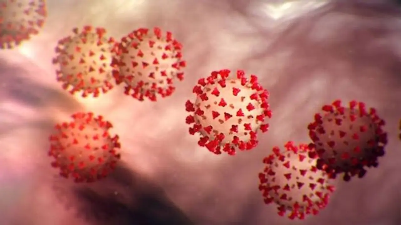 Coronavirus: Second coronavirus suspected death reported in Karnataka