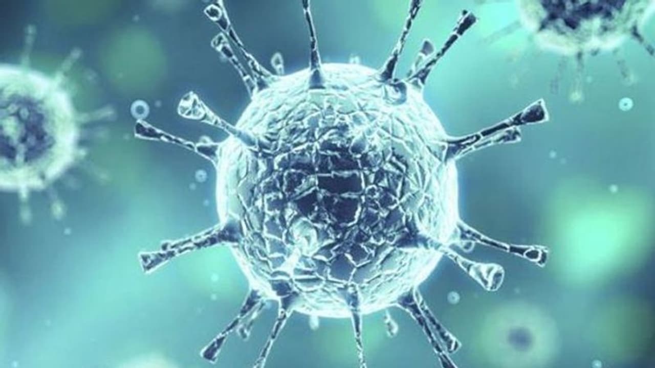 'ആദ്യം അതിജീവിക്കാം പിന്നീടാവാം ജോലി'; ഇടുക്കി അതിര്ത്തിയിലെ തൊഴിലാളികള്ക്ക് കൈത്താങ്ങായി പൊലീസ് 'ആദ്യം അതിജീവിക്കാം പിന്നീടാവാം ജോലി'; ഇടുക്കി അതിര്ത്തിയിലെ തൊഴിലാളികള്ക്ക് കൈത്താങ്ങായി പൊലീസ്