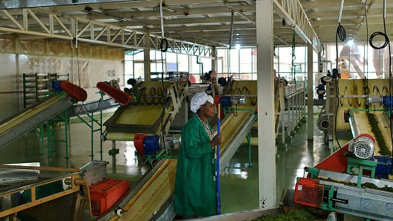 ఇంట్లోనే ఉన్నామని టోకరా: ఆ ఇద్దరిపై పోలీసుల కొరడా ఇంట్లోనే ఉన్నామని టోకరా: ఆ ఇద్దరిపై పోలీసుల కొరడా