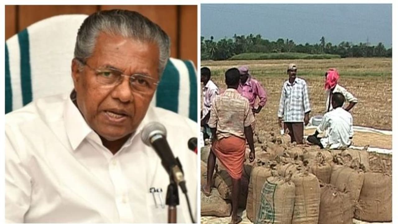 സംസ്ഥാനത്ത് കൊയ്ത്ത് അവശ്യസർവീസ്, നെല്ല് സംഭരണം കാര്യക്ഷമമാക്കുമെന്ന് മുഖ്യമന്ത്രി സംസ്ഥാനത്ത് കൊയ്ത്ത് അവശ്യസർവീസ്, നെല്ല് സംഭരണം കാര്യക്ഷമമാക്കുമെന്ന് മുഖ്യമന്ത്രി