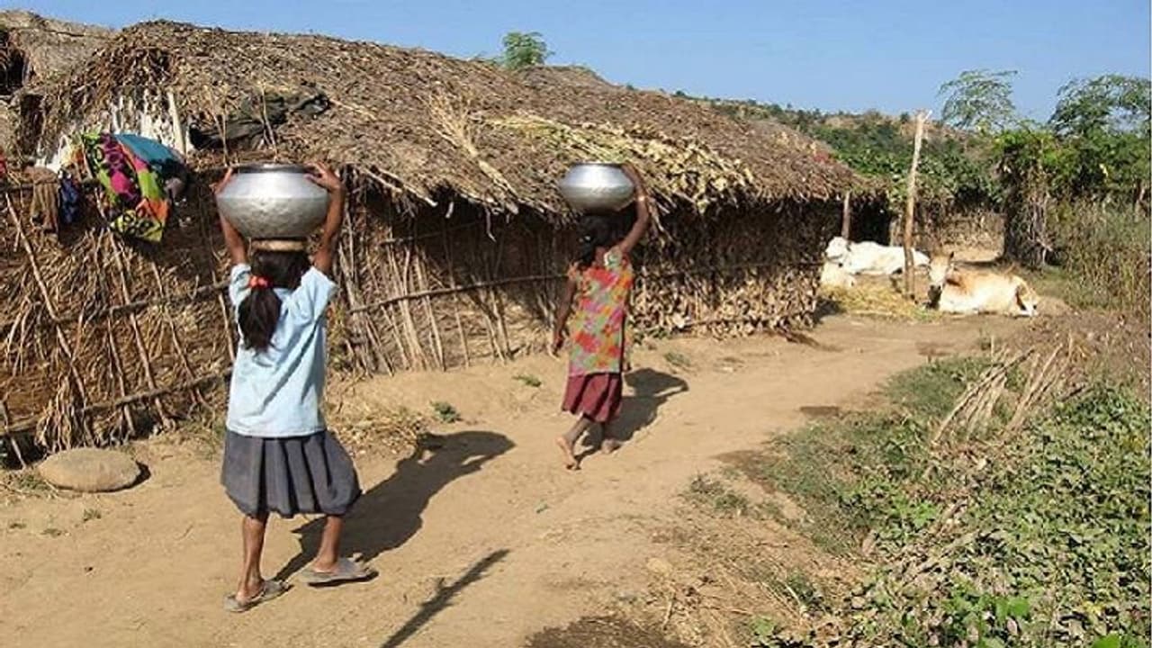 लॉक डाउन में चार दिन से भूखा मुसहरों का परिवार, खा रहे नमक और घास लॉक डाउन में चार दिन से भूखा मुसहरों का परिवार, खा रहे नमक और घास