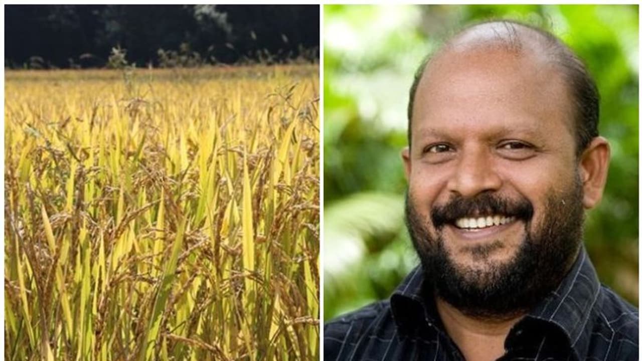 നാളെ മുതല്‍ നെല്ല് സംഭരണം തുടങ്ങും, ലോറികള്‍ എത്തും; ഉറപ്പ് നല്‍കി മന്ത്രി സുനില്‍കുമാര്‍