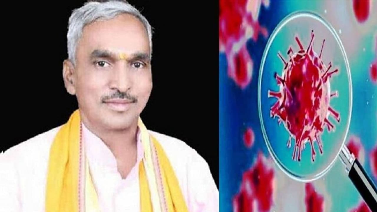 बीजेपी MLA ने कहा गोमूत्र पीने से नहीं होगी कोई बीमारी, 30 साल से रोज करता हूं सेवन बीजेपी MLA ने कहा गोमूत्र पीने से नहीं होगी कोई बीमारी, 30 साल से रोज करता हूं सेवन