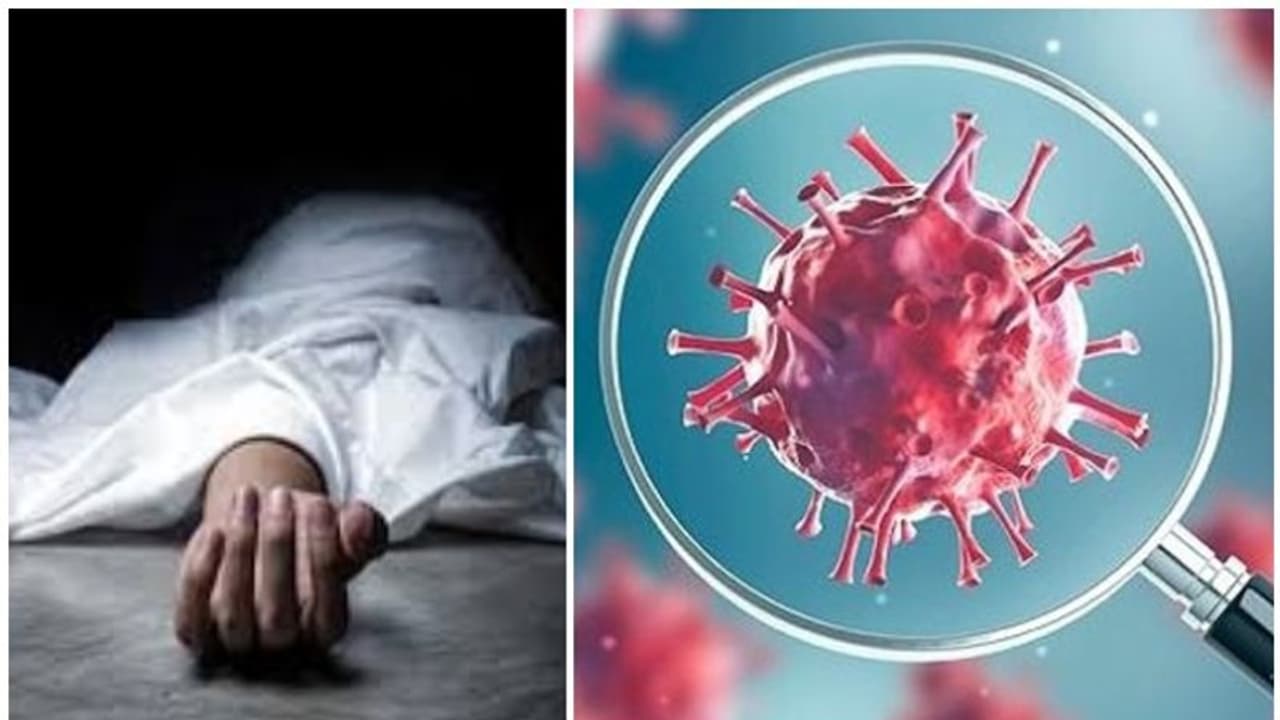 ബിഹാറിലെ കൊവിഡ് 19 മരണം: മൃതദേഹം കൈകാര്യം ചെയ്യുന്നതിൽ നടന്നത് ഗുരുതര വീഴ്ച, സാമൂഹികസംക്രമണത്തിന് സാധ്യത ബിഹാറിലെ കൊവിഡ് 19 മരണം: മൃതദേഹം കൈകാര്യം ചെയ്യുന്നതിൽ നടന്നത് ഗുരുതര വീഴ്ച, സാമൂഹികസംക്രമണത്തിന് സാധ്യത