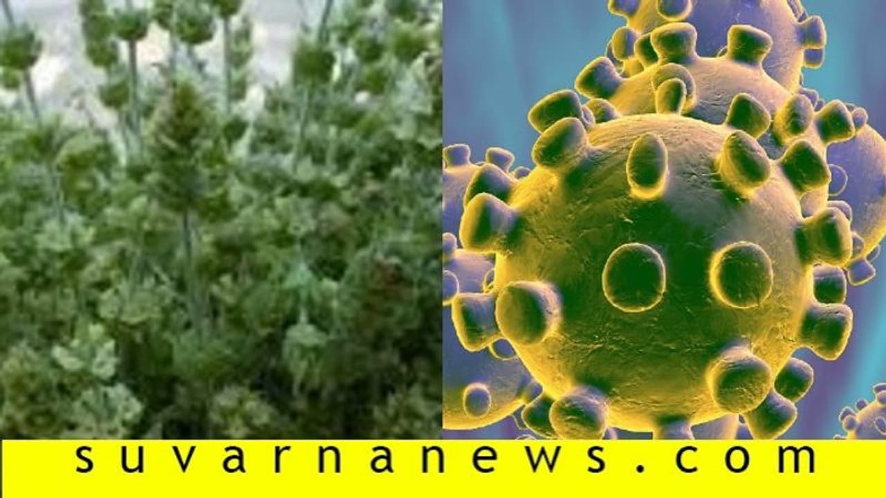 ಕೊರೋನಾ ನಿರ್ಮೂಲನೆಗೆ ಔಷಧಿ..? 3ರಿಂದ 5ದಿನದಲ್ಲಿ ಸೋಂಕಿತ ಗುಣಮುಖ?