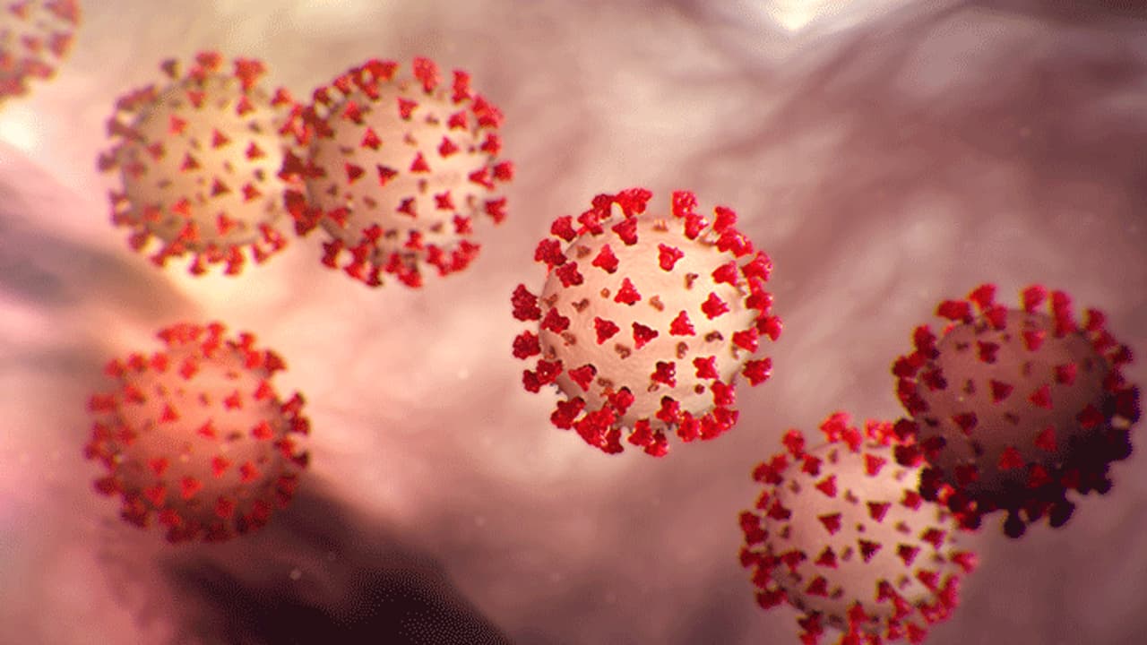 കൊവിഡില്‍ വിറച്ച് തെലങ്കാനയും; ഇന്ന് സ്ഥിരീകരിച്ചത് 10 കേസുകള്‍